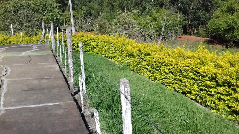 Sítio Picus